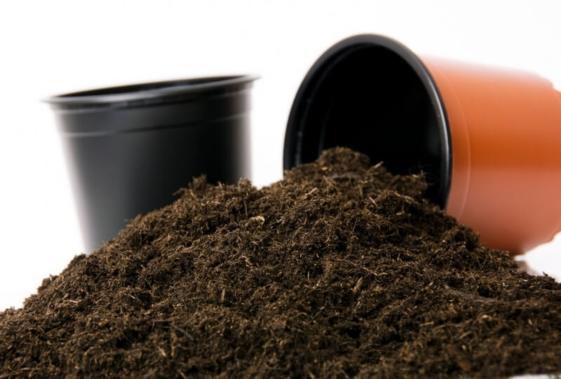 SUBSTRAT ET AMENDEMENT