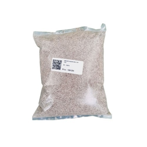 GRAINE GAZON RAY VIP 1KG