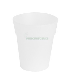 CAPRI ORCHID POT D 12.5CM TRANSPARENT