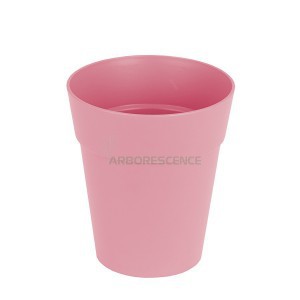 ORCHID CAPRI POT 15CM DESERT ROSE